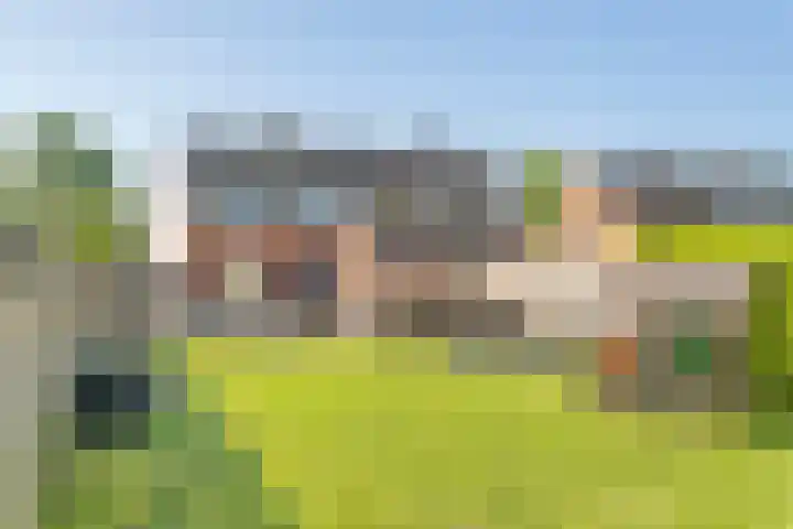 Zevenmorgen 19 Ingen thumbnail 50