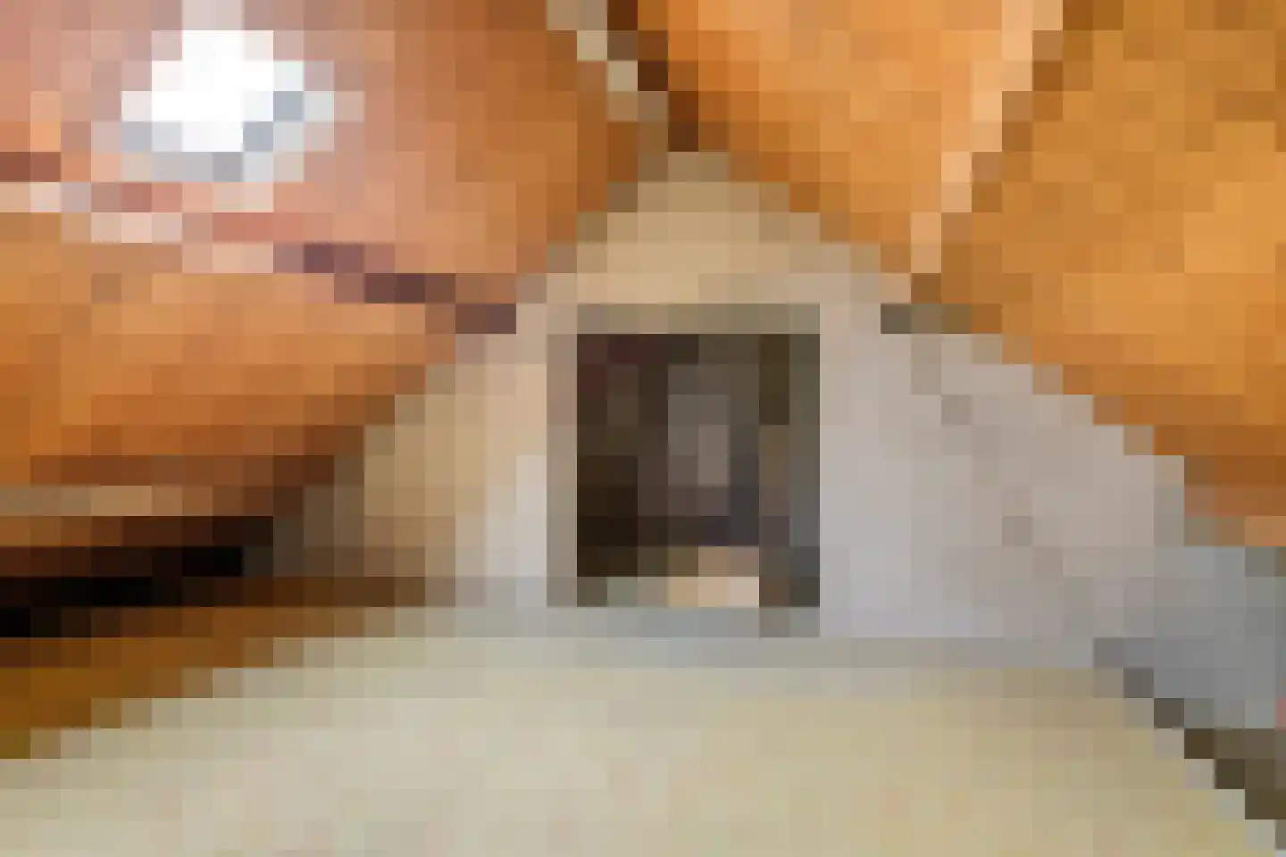 Zevenmorgen 41 Ingen thumbnail 29