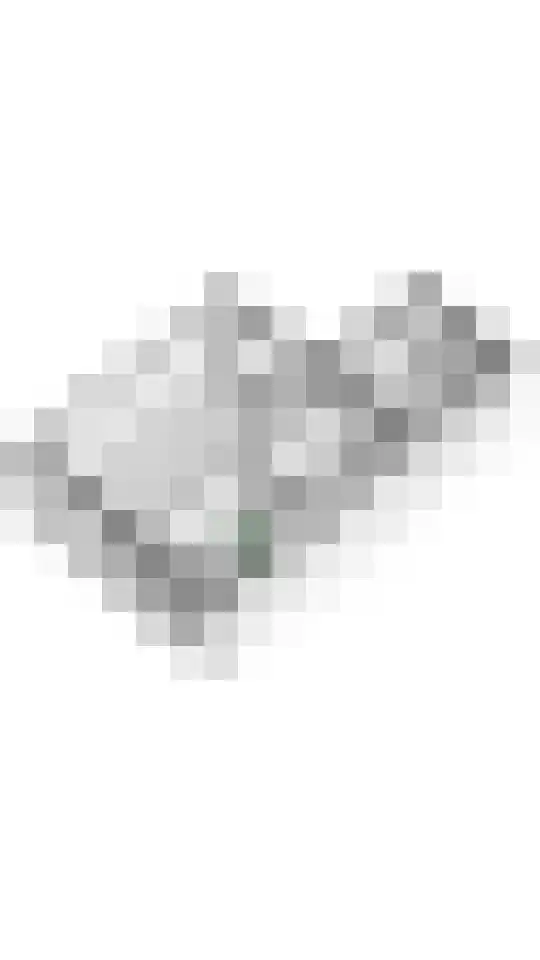 Zevenmorgen 41 Ingen thumbnail 33