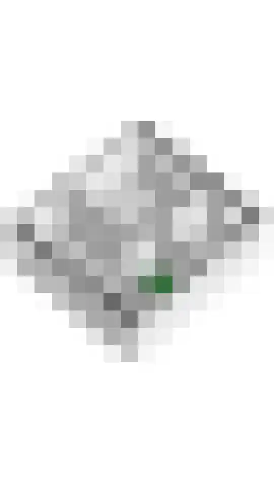Zevenmorgen 41 Ingen thumbnail 35