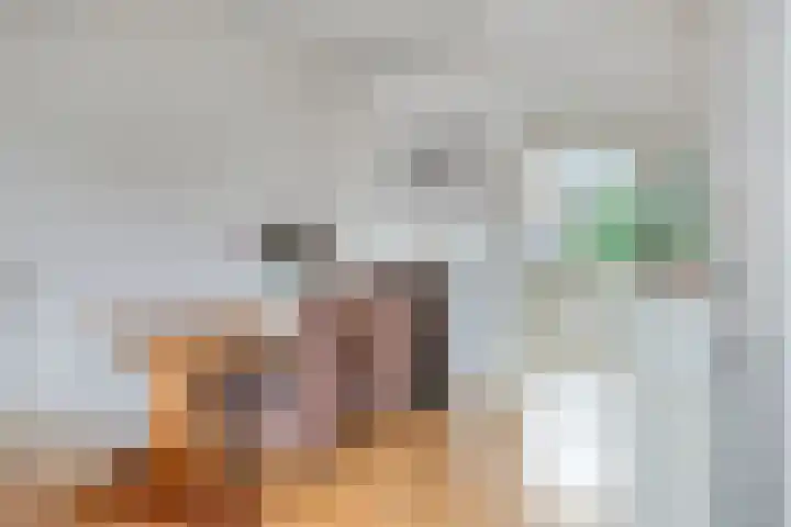 Zevenoord 106 Rotterdam thumbnail 10