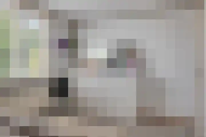 Zevenoord 106 Rotterdam thumbnail 23