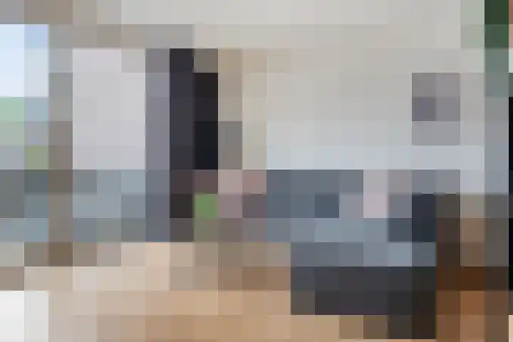 Zevenoord 106 Rotterdam thumbnail 7