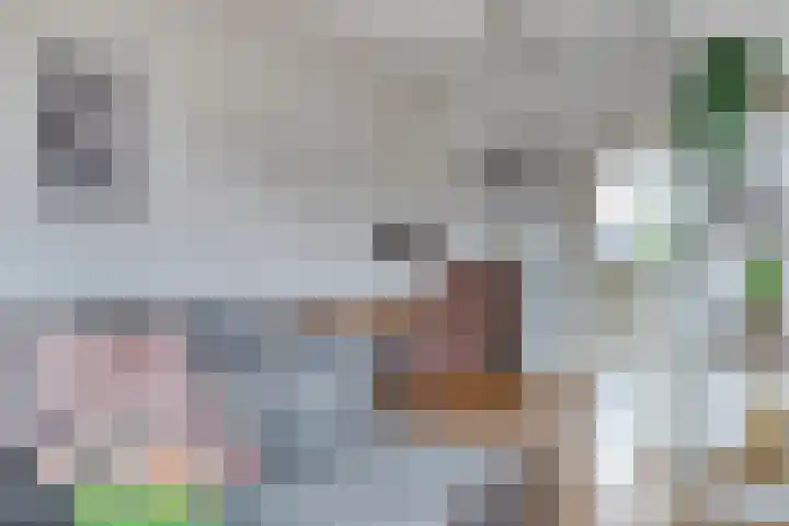 Zevenoord 106 Rotterdam thumbnail 9