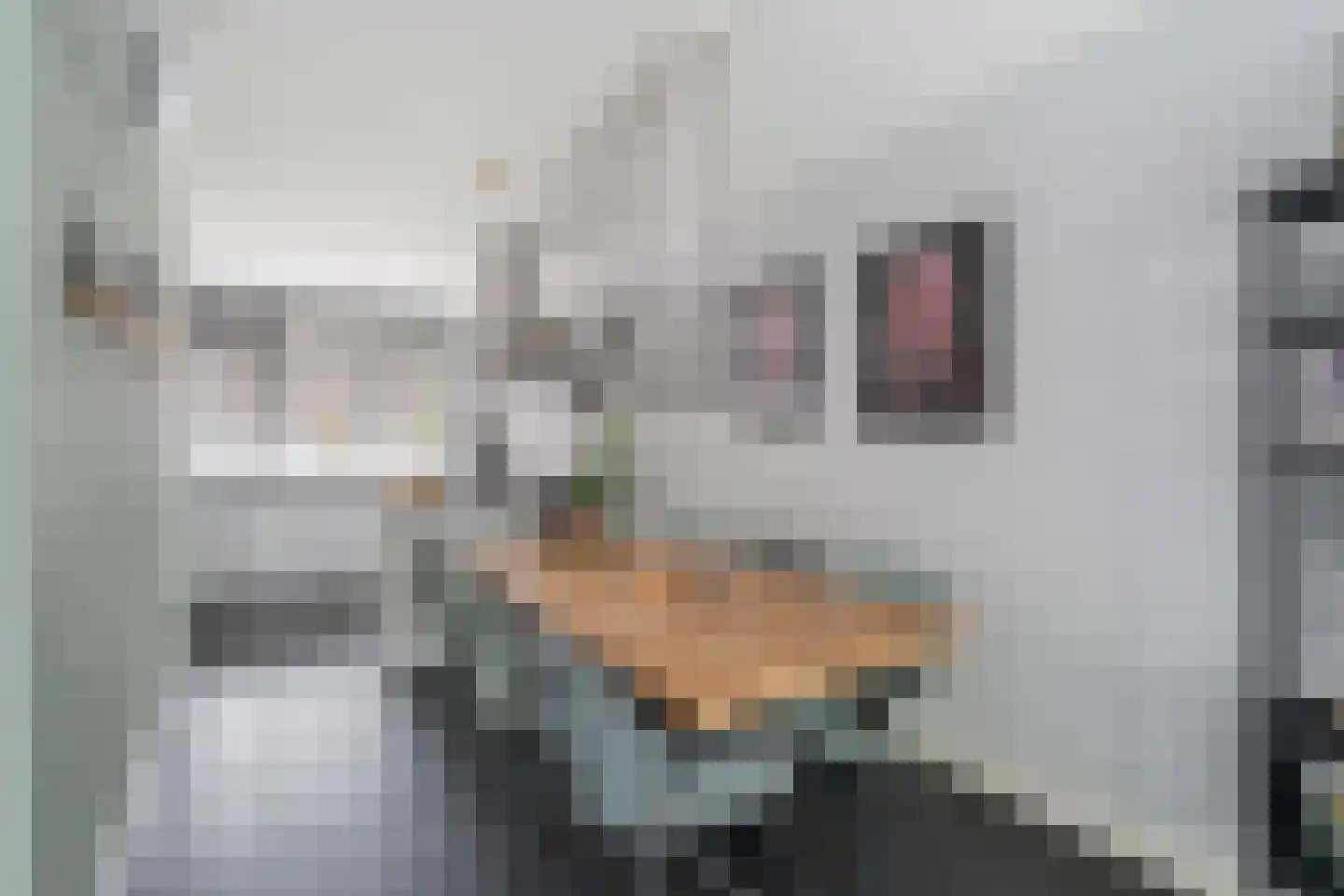 Zevenoord 11 Rotterdam thumbnail 12