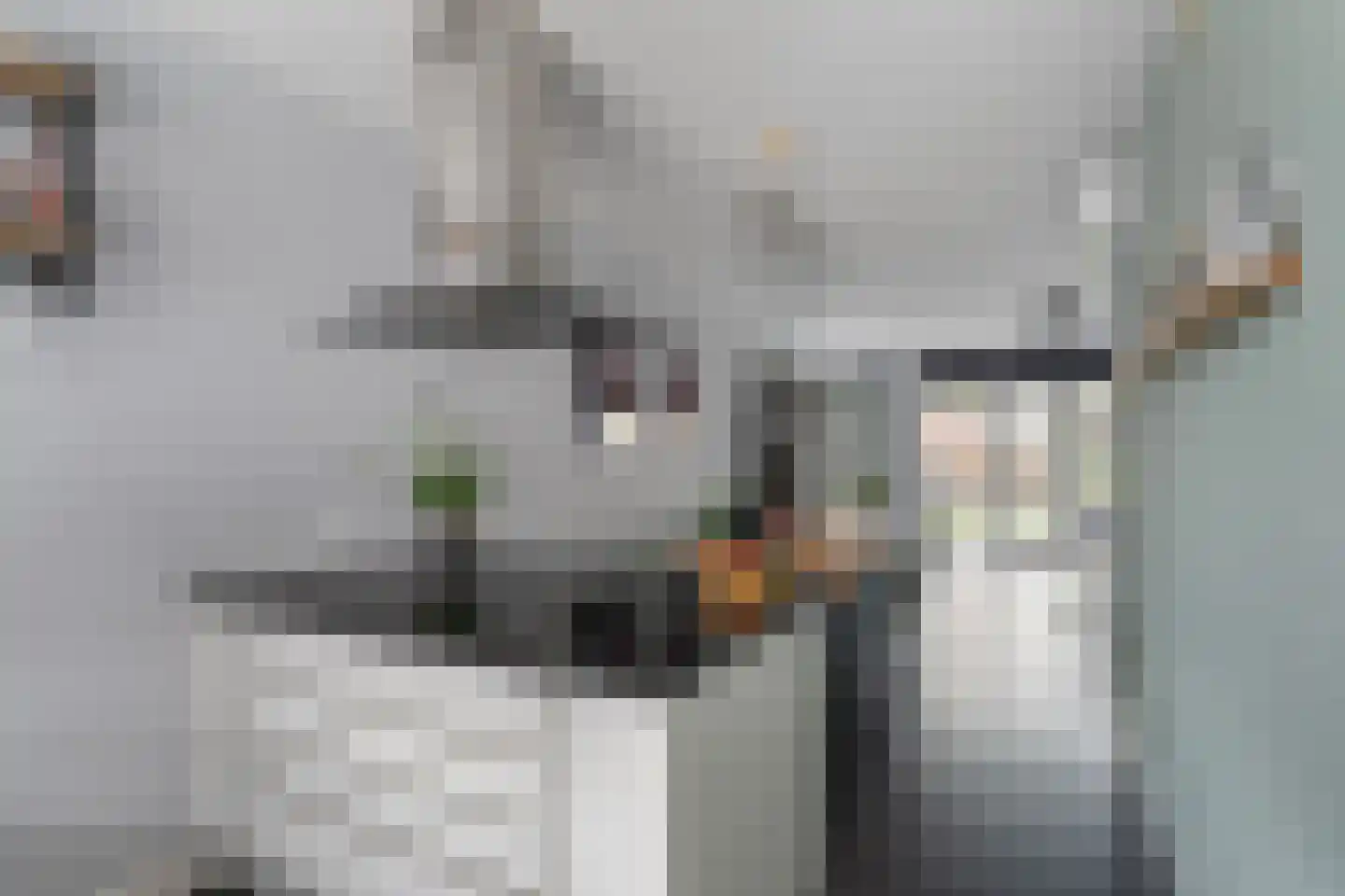 Zevenoord 11 Rotterdam thumbnail 15