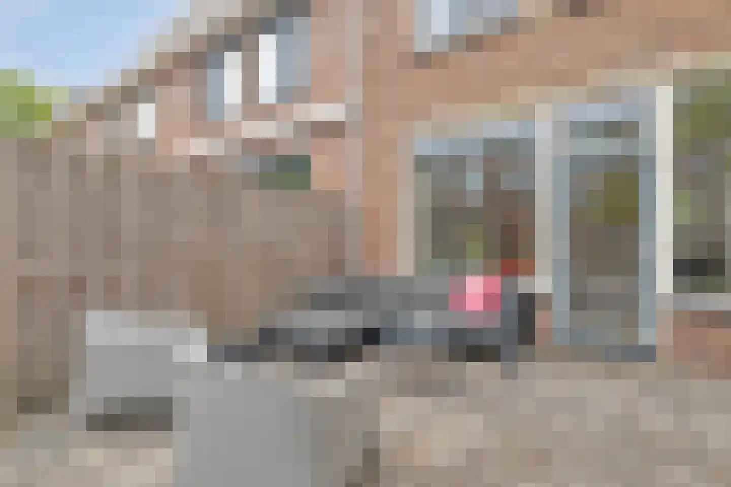 Zevenoord 111 Rotterdam thumbnail 10