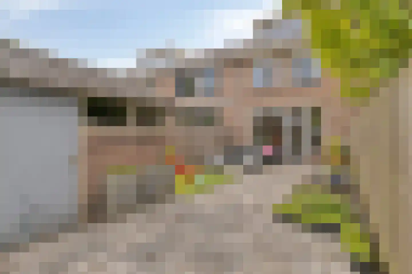 Zevenoord 111 Rotterdam thumbnail 11