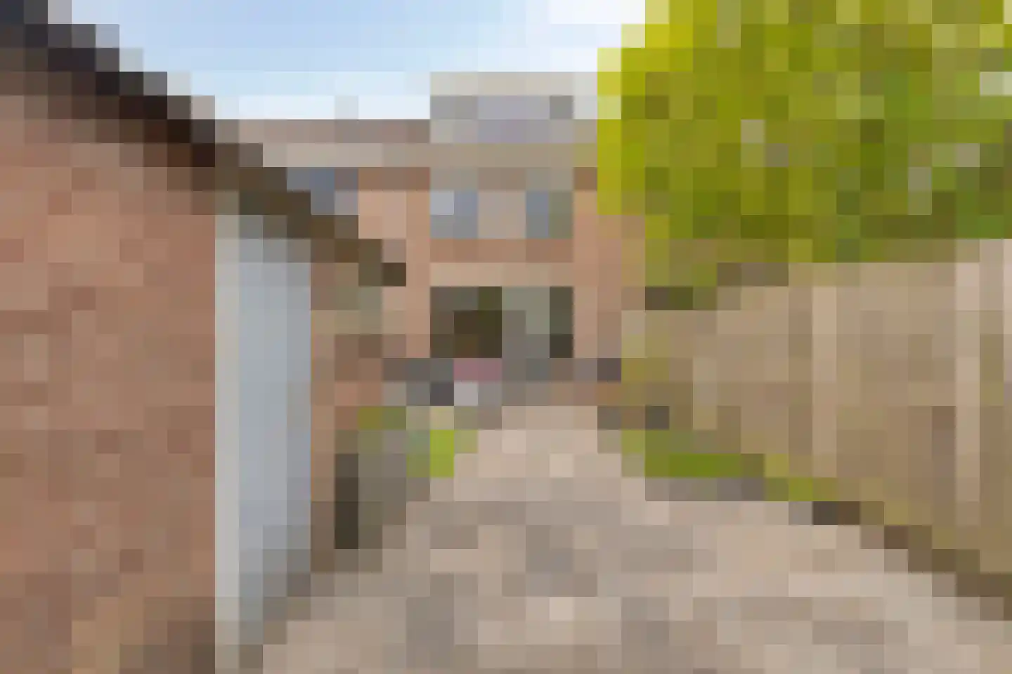 Zevenoord 111 Rotterdam thumbnail 12
