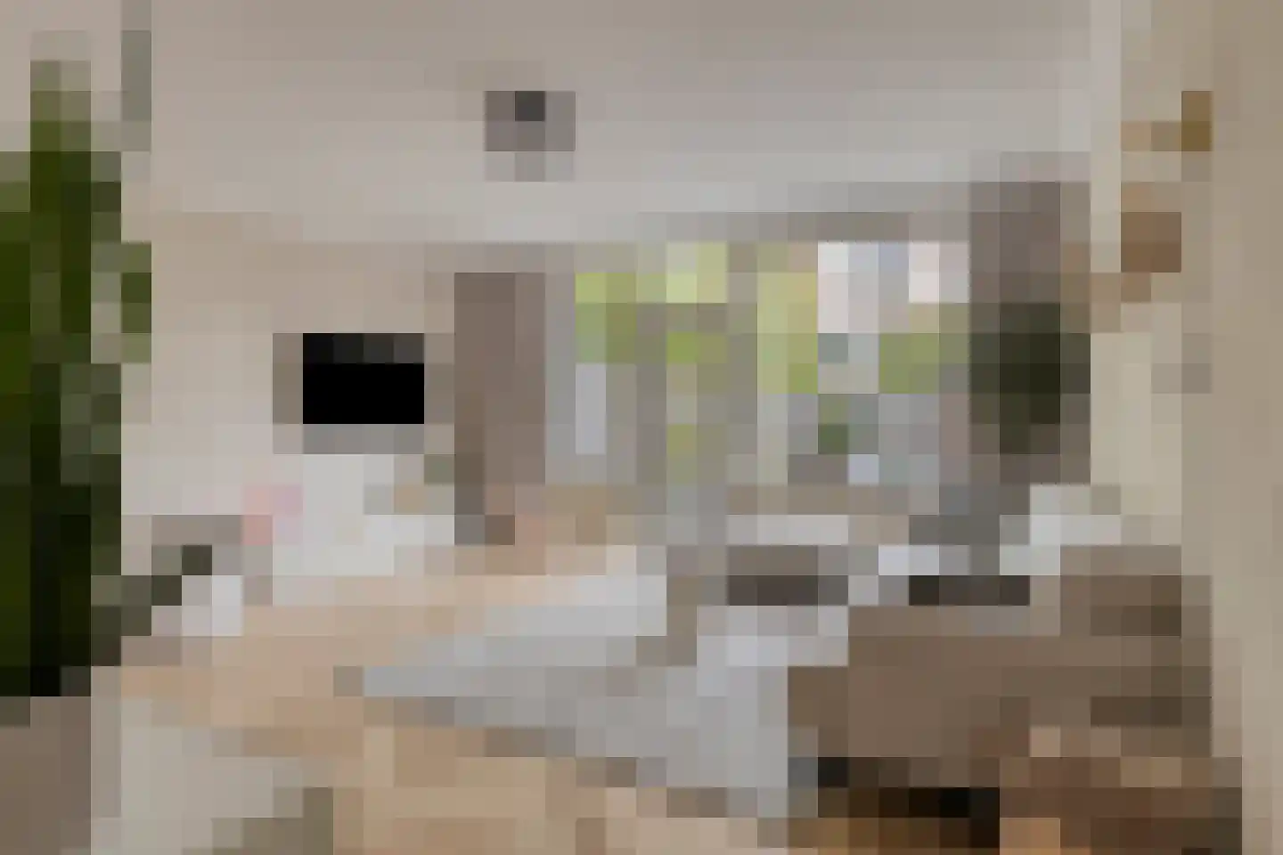 Zevenoord 111 Rotterdam thumbnail 5
