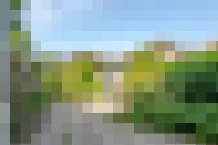 Zevenoord 2 Rotterdam thumbnail 17