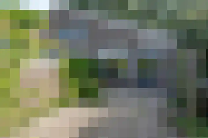 Zevenoord 2 Rotterdam thumbnail 18