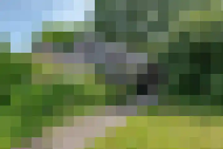 Zevenoord 2 Rotterdam thumbnail 19