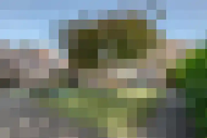 Zevenoord 2 Rotterdam thumbnail 20