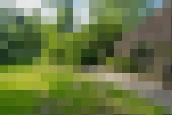Zevenoord 2 Rotterdam thumbnail 21