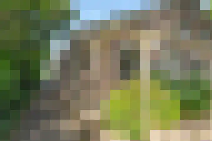 Zevenoord 2 Rotterdam thumbnail 22