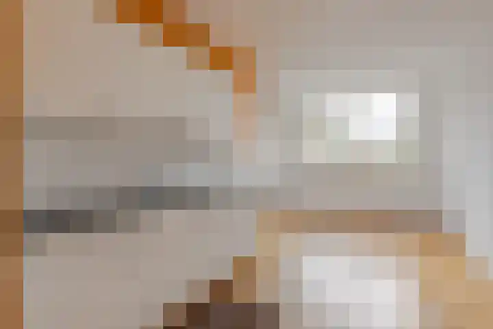 Zevenoord 89 Rotterdam thumbnail 10