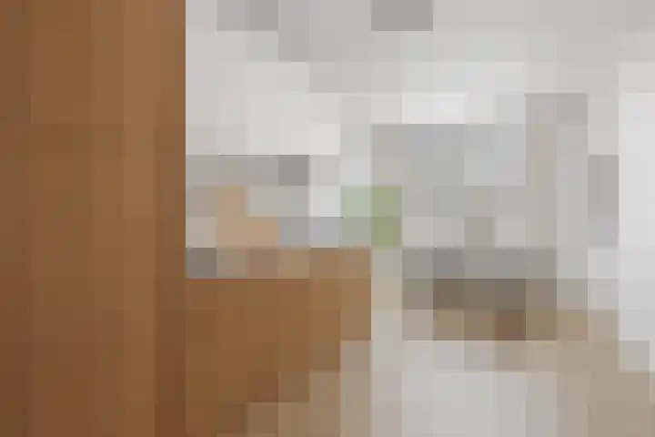 Zevenoord 89 Rotterdam thumbnail 11