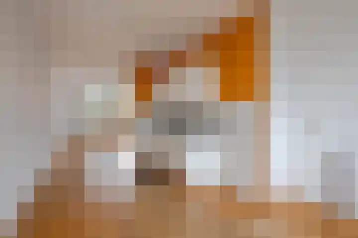 Zevenoord 89 Rotterdam thumbnail 12