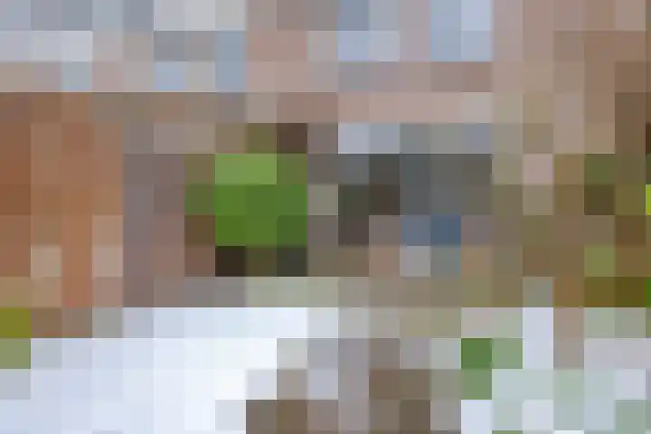 Zevenoord 89 Rotterdam thumbnail 14