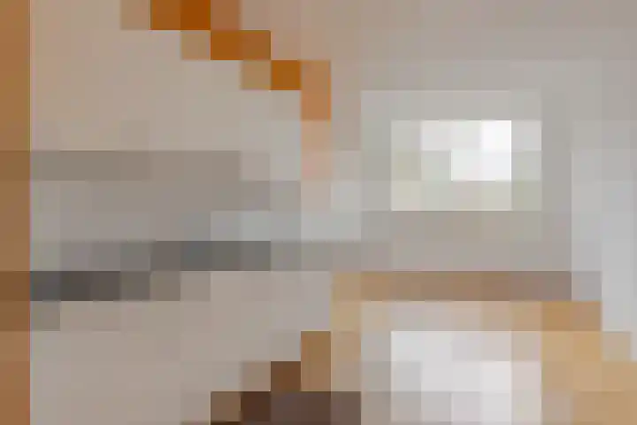 Zevenoord 89 Rotterdam thumbnail 4