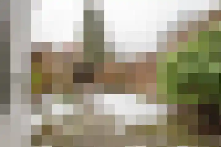 Zevenoord 89 Rotterdam thumbnail 5