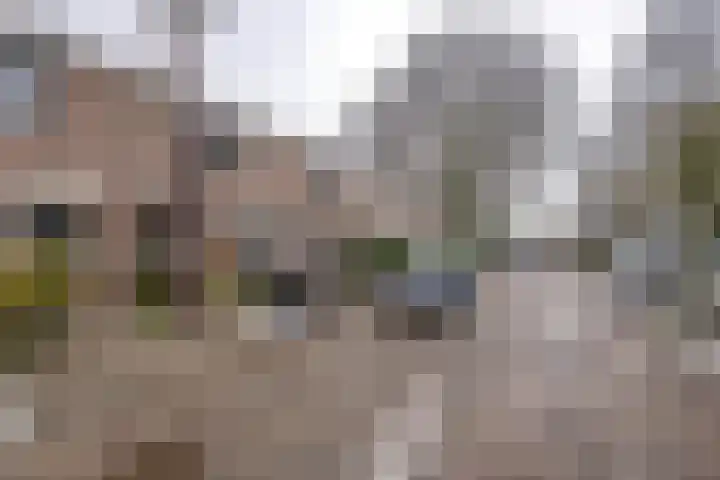 Zevenoord 89 Rotterdam thumbnail 6