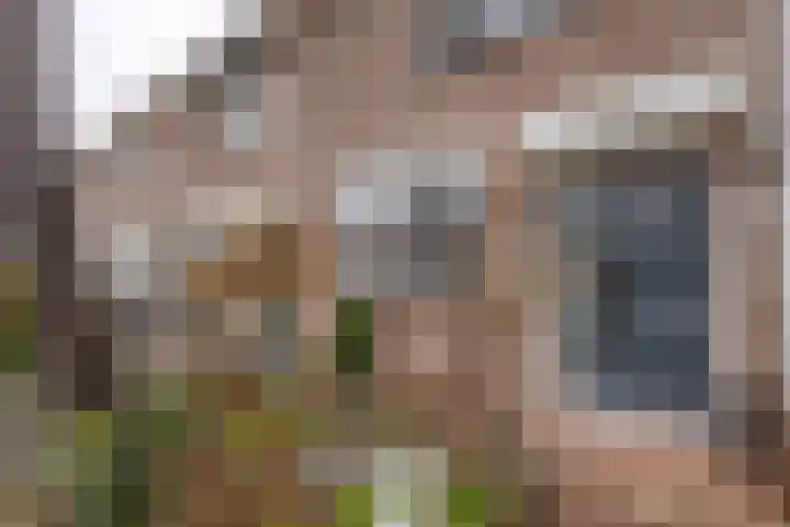 Zevenoord 89 Rotterdam thumbnail 7