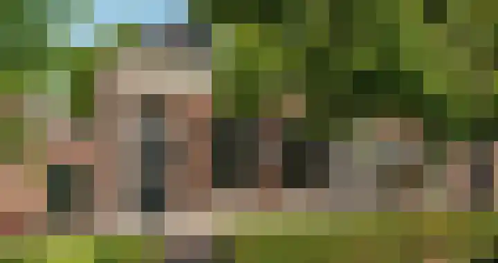 Zevenpelsen 8 IJlst
