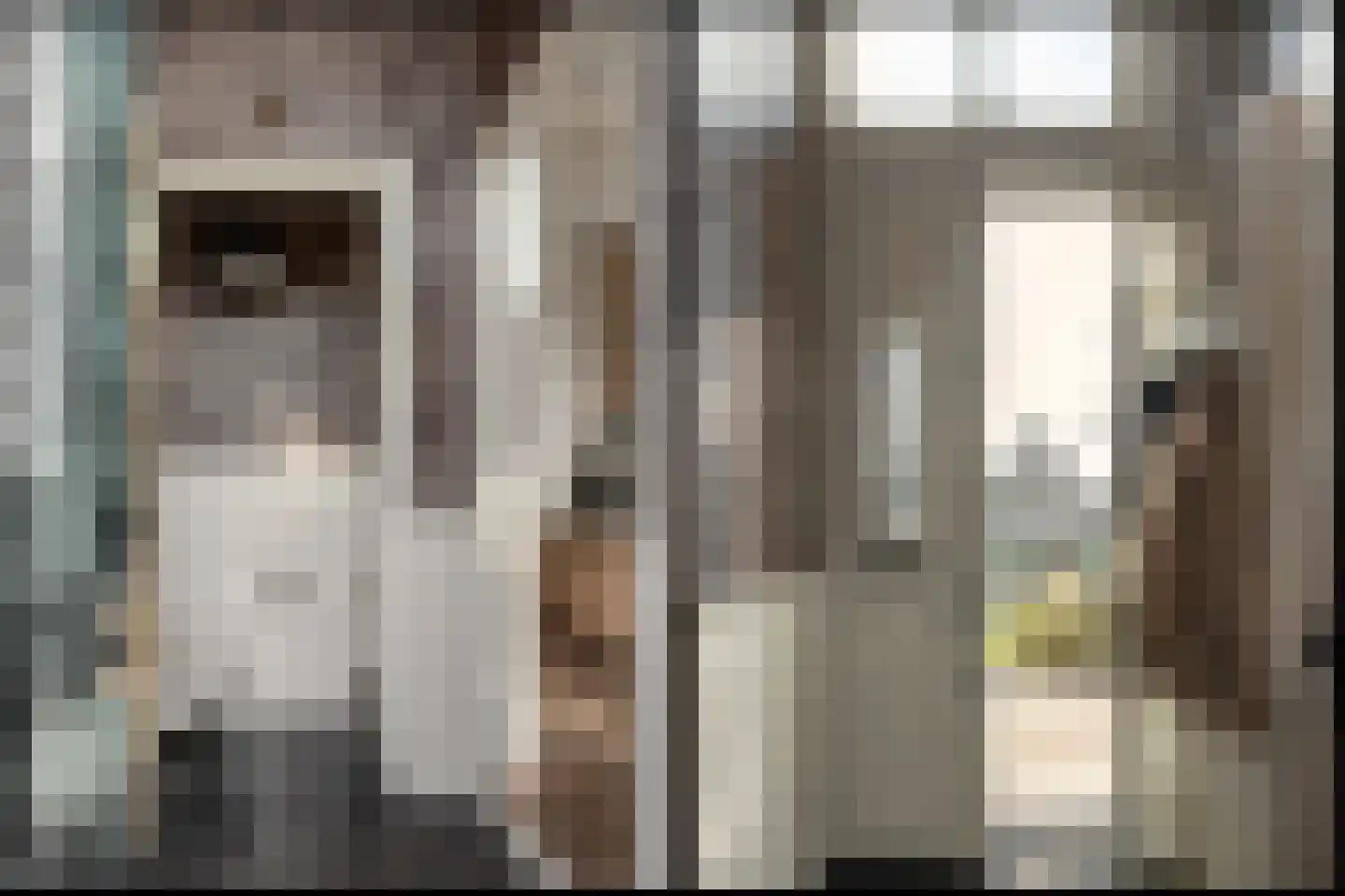 Zevenpelsen 8 IJlst thumbnail 11