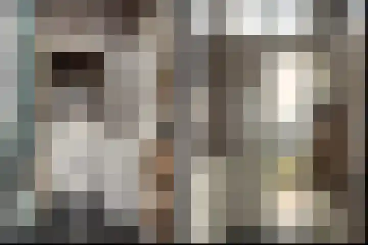Zevenpelsen 8 IJlst thumbnail 11