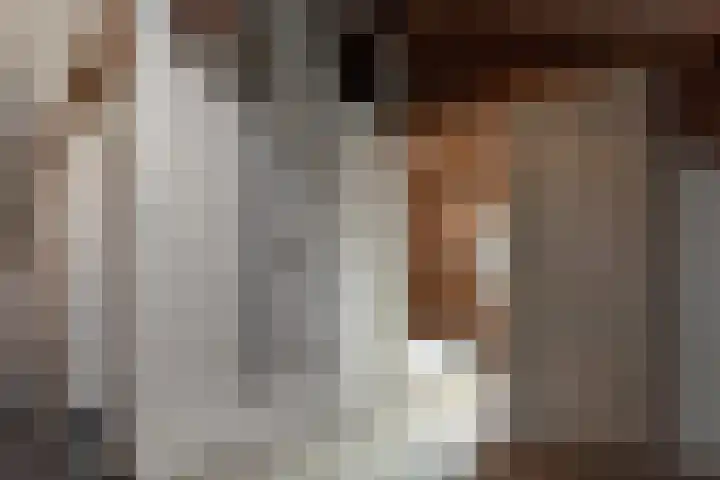 Zevenpelsen 8 IJlst thumbnail 12