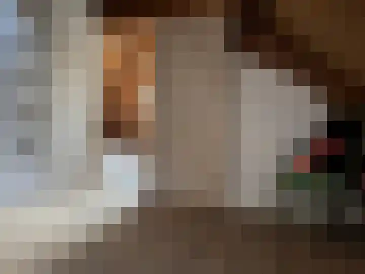 Zevenpelsen 8 IJlst thumbnail 13