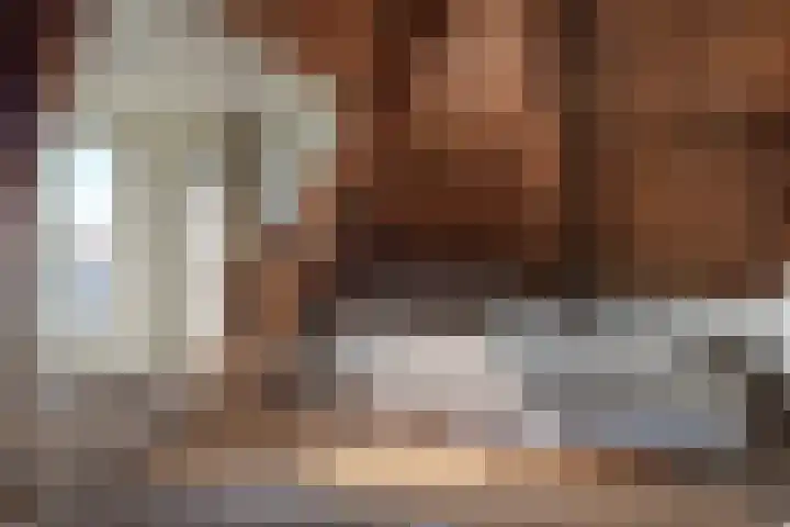 Zevenpelsen 8 IJlst thumbnail 14