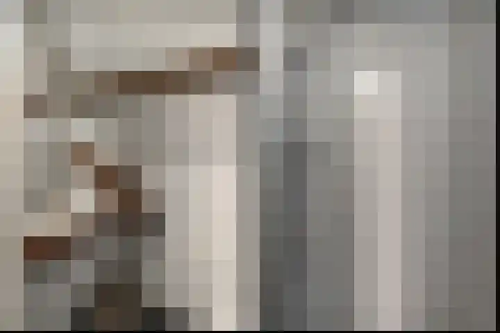 Zevenpelsen 8 IJlst thumbnail 17