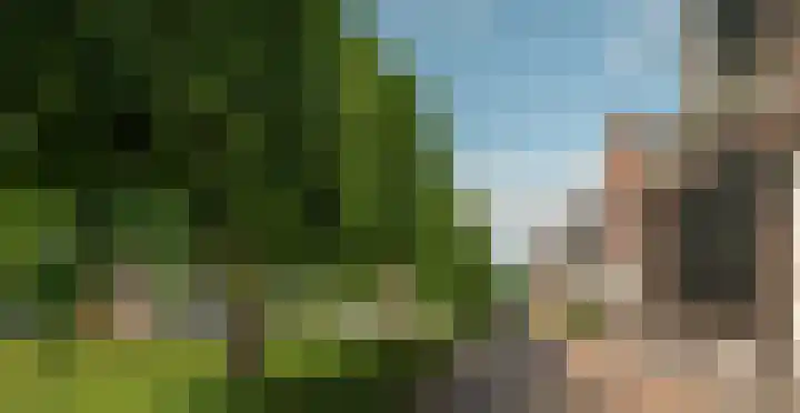 Zevenpelsen 8 IJlst thumbnail 18