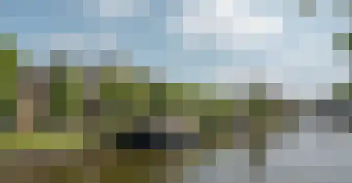 Zevenpelsen 8 IJlst thumbnail 19