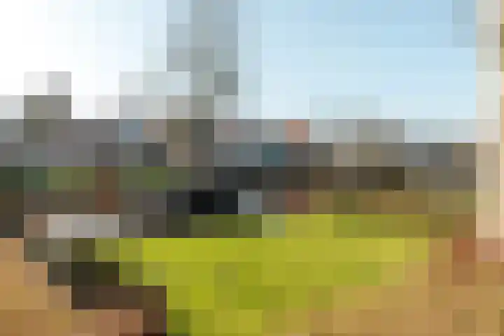 Zevenpelsen 8 IJlst thumbnail 20