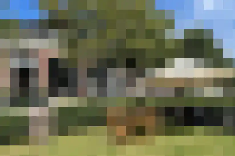 Zevenpelsen 8 IJlst thumbnail 21