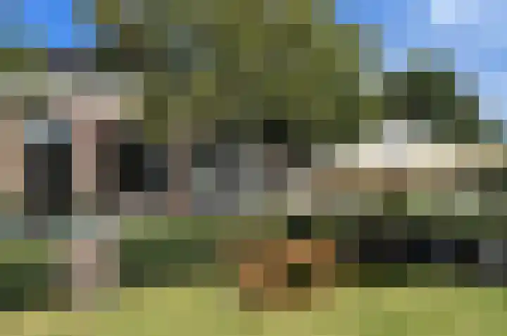 Zevenpelsen 8 IJlst thumbnail 21