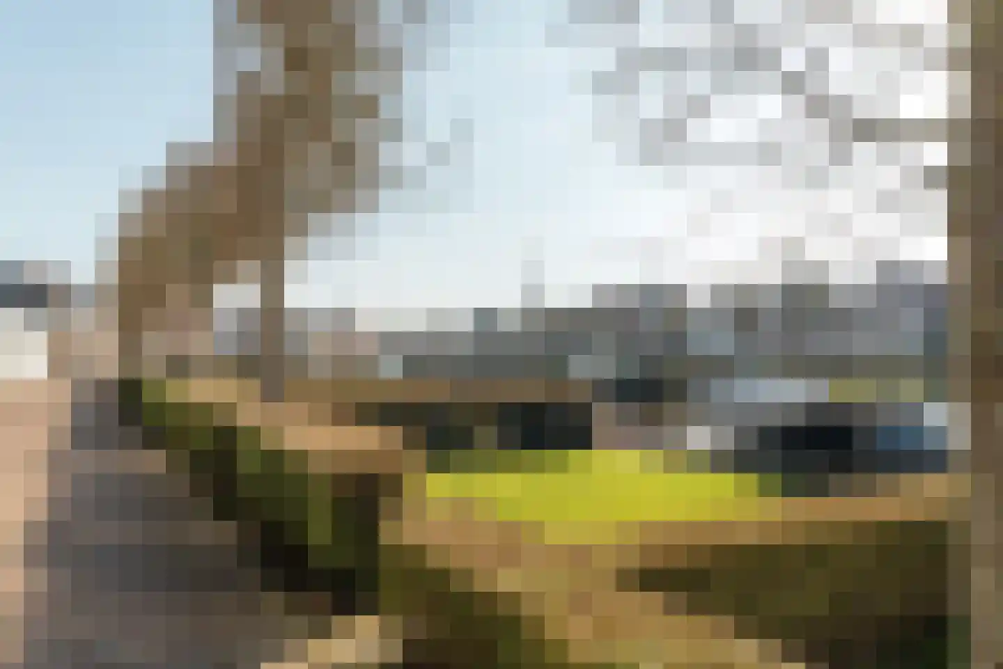 Zevenpelsen 8 IJlst thumbnail 22