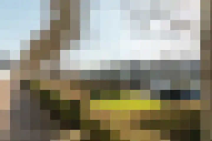 Zevenpelsen 8 IJlst thumbnail 22