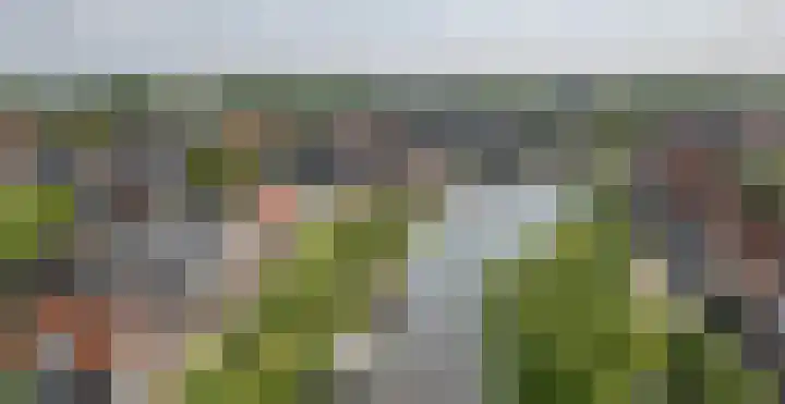 Zevenpelsen 8 IJlst thumbnail 23