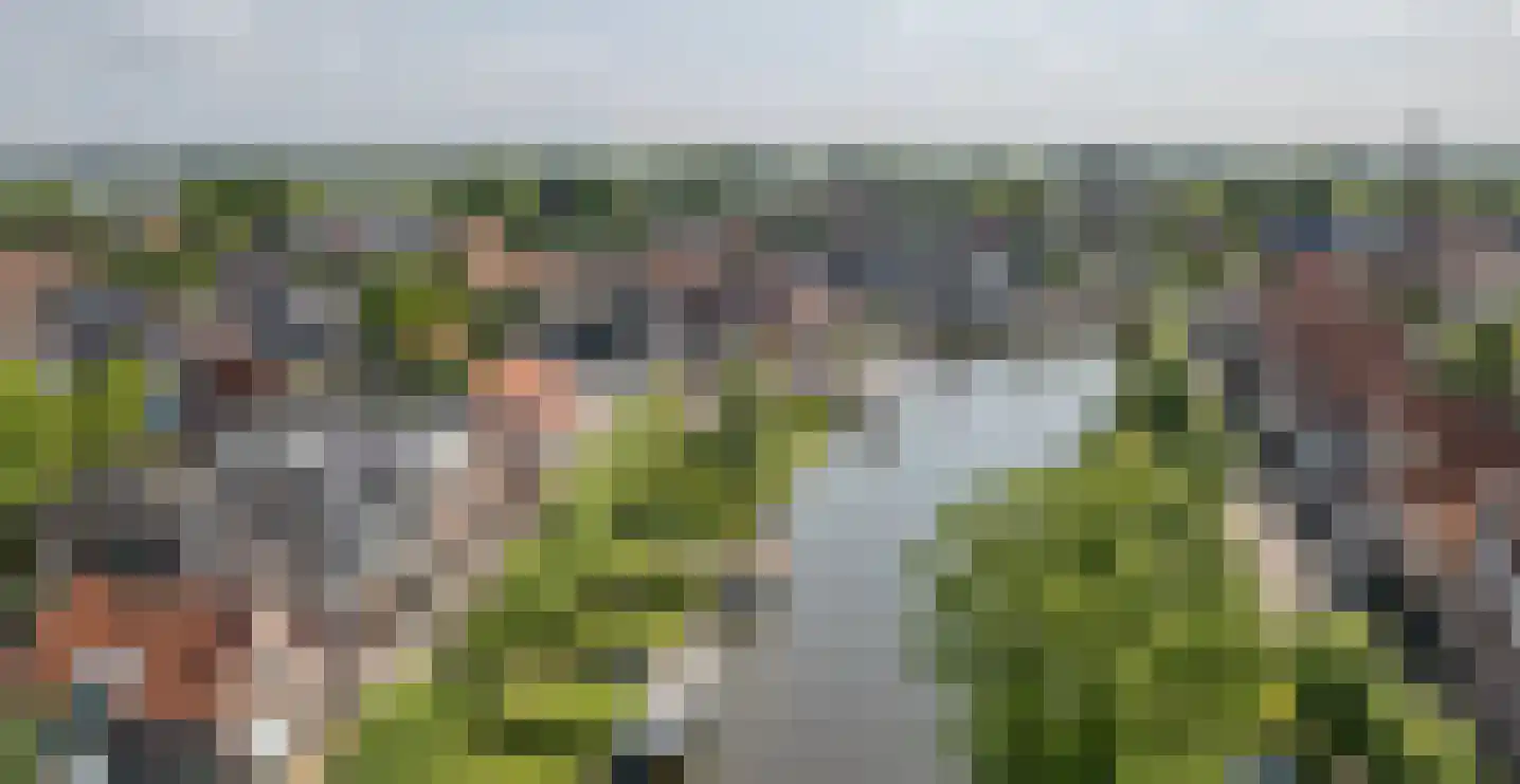 Zevenpelsen 8 IJlst thumbnail 23