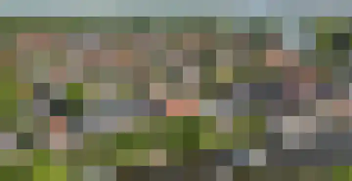 Zevenpelsen 8 IJlst thumbnail 24