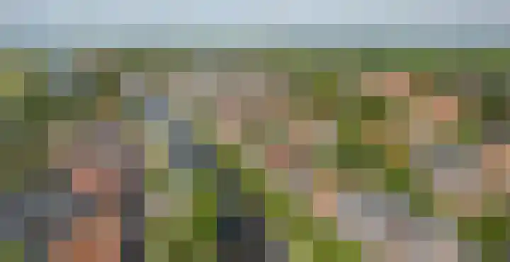 Zevenpelsen 8 IJlst thumbnail 25