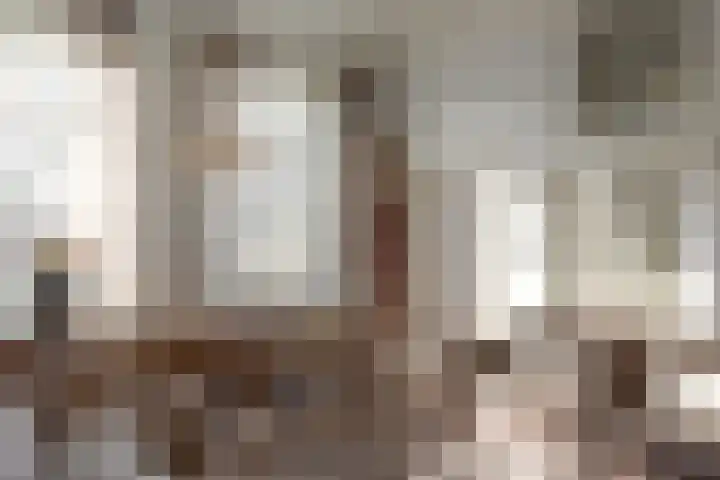 Zevenpelsen 8 IJlst thumbnail 6