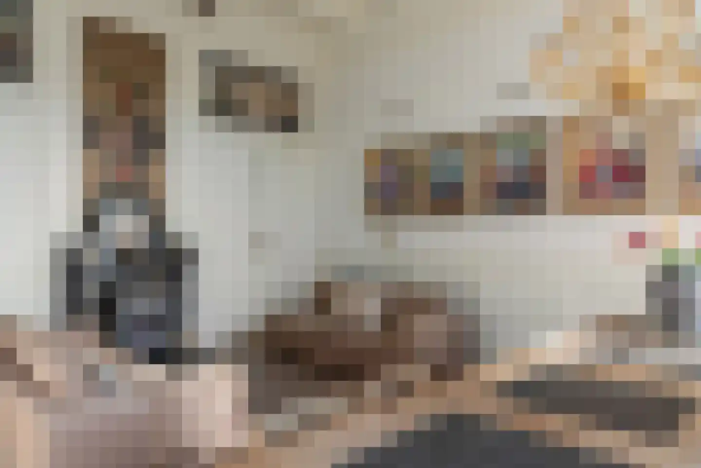 Zevenpelsen 8 IJlst thumbnail 8