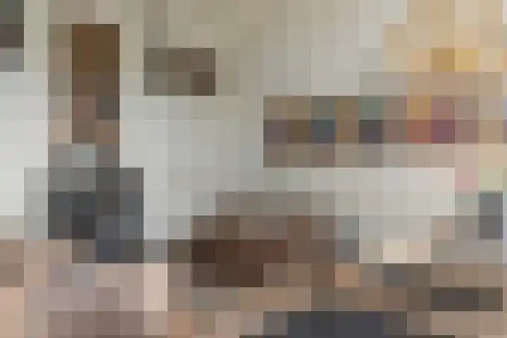 Zevenpelsen 8 IJlst thumbnail 8