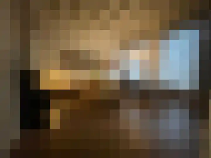 Zevenpelsen 8 IJlst thumbnail 9